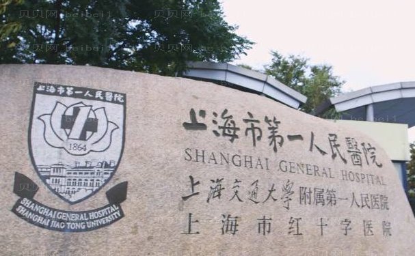 上海市第—人民医院脂肪填充有哪些医生做的好