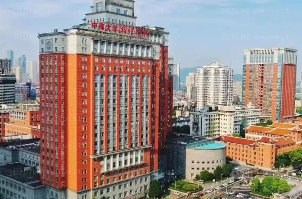 湖南隆鼻改良短鼻实力整形医院有哪些?