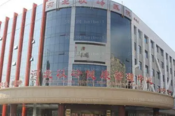 河北以岭隆鼻改良短鼻怎么样?