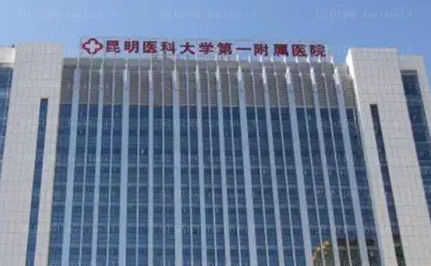 昆明比较好的玻尿酸除皱医院