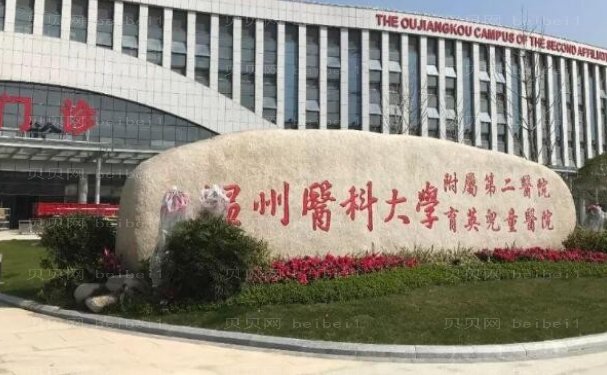 温州微晶瓷隆鼻专家/医生汇总