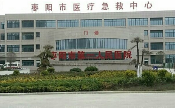 襄阳种植眉毛哪个医院能做