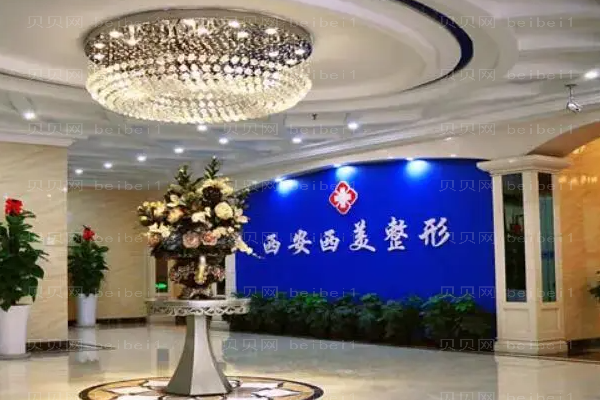 西安西美膨体丰太阳穴医生介绍