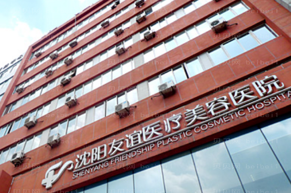 沈阳友谊丰耳垂实力怎么样