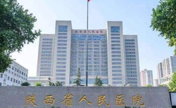 陕西省人民医院毛发移植哪个医生好