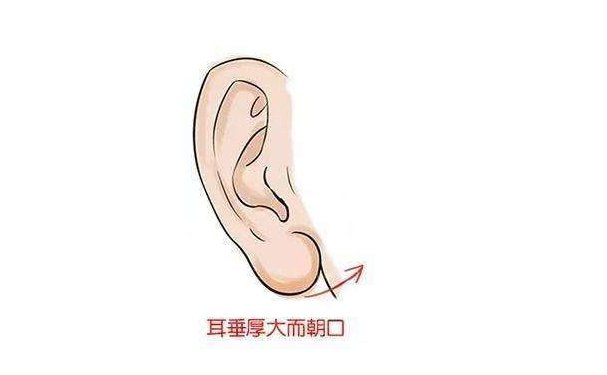 恩施耳垂矫正坐诊医生介绍