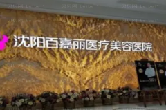 沈阳百嘉丽电离子调节去雀斑医生介绍