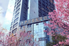 昆明梦想眼睑疤痕修复做的好吗