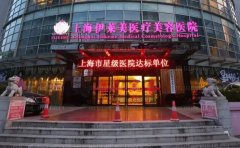 上海伊莱美鼻尖技术好吗