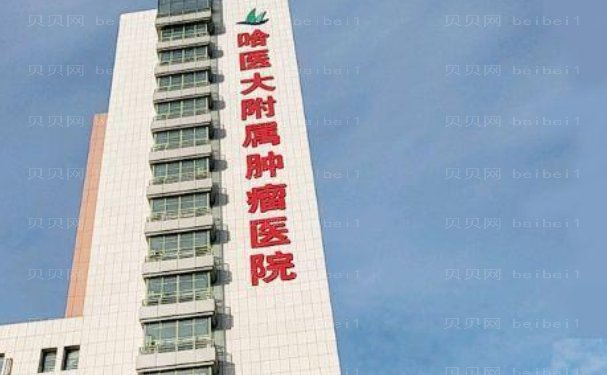 哈尔滨医科大学附属肿瘤医院整形美容科预约要多久