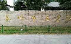 苏州市立医院整形外科实力专家盘点