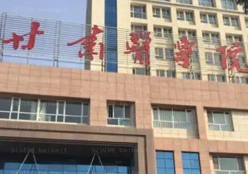 甘肃医学院附属医院烧伤整形科怎么样